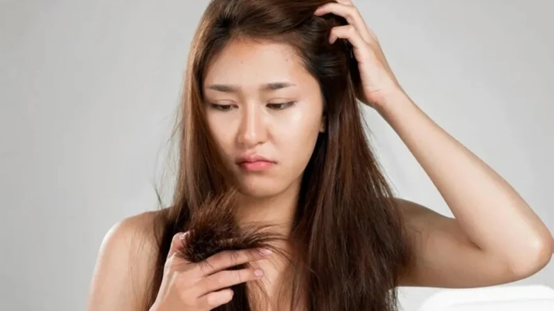 Untitled design (40)